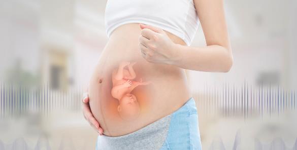 人工胎儿可以选择性别吗附详细介绍