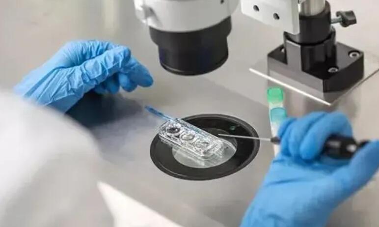 胚胎移植后如何让HCG翻倍好，这三个方法快来了解一下