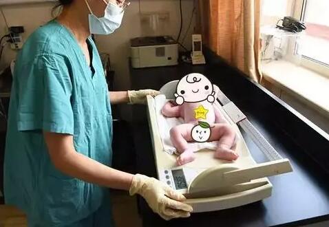 泰国试管婴儿移植流程解读